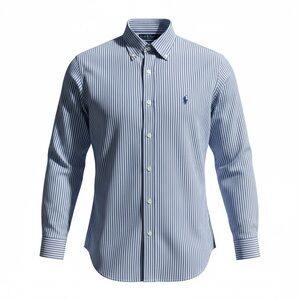 Ralph Lauren Classic Fit Blue Stripe Button Down Shirt L